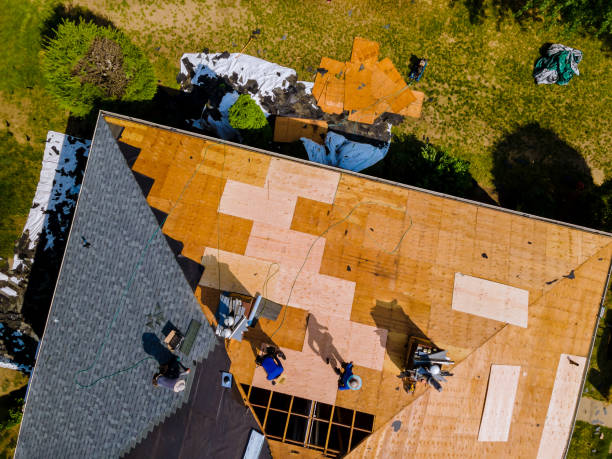 Best Roof Replacement Cost  in Lone Star, TX