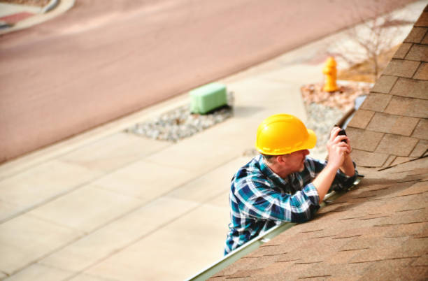 Best Roof Gutter Cleaning  in Lone Star, TX