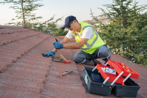 Best Storm Damage Roof Repair  in Lone Star, TX